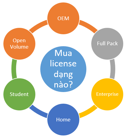 license types